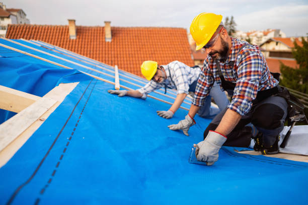 Steel Roofing in Tifton, GA